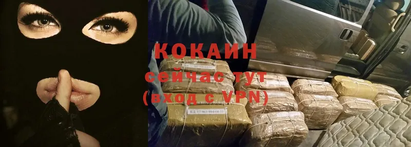 цена   Луга  Cocaine Эквадор 